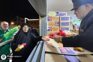 موکب امام رضا علیه&zwnj;السلام در نجف اشرف