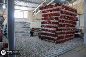 بازدید کارکنان آستان قدس رضوی از شرکت فرش