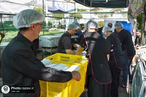 موکب&zwnj;های خدمت&zwnj;رسانی به زائرین پیاده حضرت رضا(علیه&zwnj;السلام) - 2