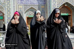 رویداد نیم&zwnj;روزه &laquo;نائب الزیاره&raquo; نوجوانان بی&zwnj;نهایتی