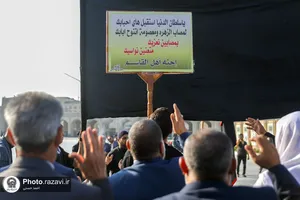 عزاداری زائران عرب زبان در حرم مطهر رضوی