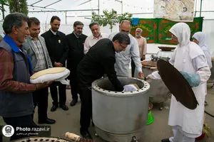 بازدید مدیر عالی حرم از مواکب خدمت رسان به زائرین در دهه کرامت