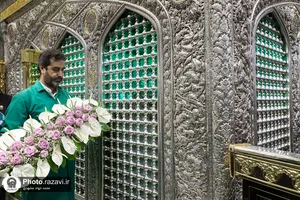 گل&zwnj;آرایی ضریح مطهر رضوی در آستانه ولادت امام رضا علیه&zwnj;السلام