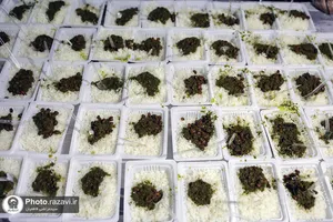 خدمت&zwnj;رسانی خدام حرم مطهر رضوی به زائران اربعین حسینی در کاظمین