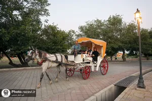 اردوی تفریحی منتخب بهورزان و مراقبان سلامت