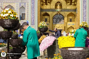 گل&zwnj;آرایی حرم مطهر رضوی در آستانه نیمه شعبان