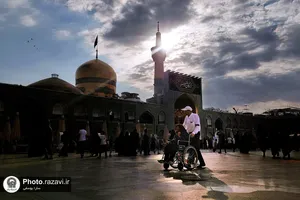 نمایشگاه عکس آرام جان