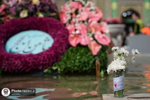 گل&zwnj;آرایی ویژه صحن و سرای رضوی به مناسب میلاد امام رضا علیه السلام