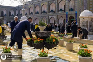 گل&zwnj;آرایی حرم مطهر رضوی در آستانه نیمه شعبان
