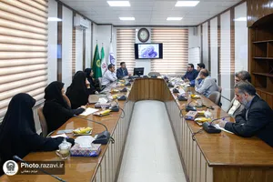 دانشگاه
