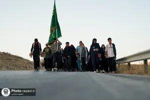 از خاک راه تا آستان رضا علیه&zwnj;السلام