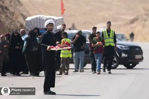 موکب امام جواد علیه&zwnj;السلام