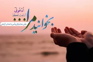 جایگاه دعا در کلام امام رضا (ع)