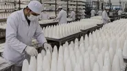 بررسی پیامد‌های آزادسازی صادرات قند، آزادسازی صادرات قند؛ فرصت یا تهدید؟!