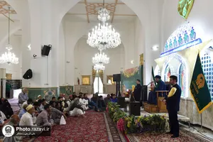 نشست تخصصی سیره سیاسی و اجتماعی امام رضا علیه&zwnj;السلام ویژه زائران اردو زبان