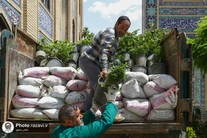 ورود کاروان گل&zwnj;های اهدایی به حرم مطهر رضوی