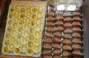 کمک های مهربانانه خادمیاران شیرازی در فاطمیه دوم ۱۴۰۱