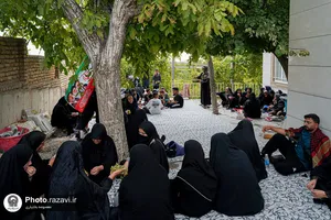 از خاک راه تا آستان رضا علیه&zwnj;السلام