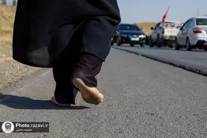 قدم به قدم تا حرم