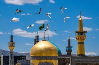 بدرقه‌ای از جنس عشق در آستانه روز عصای سفید+فیلم