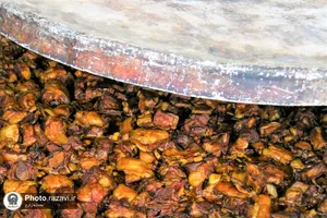 پذیرایی دانش&zwnj;آموزان دبیرستان امام رضا(علیه&zwnj;السلام) واحد چناران از زائرین پیاده دهه آخر صفر