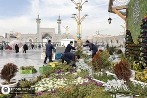 آماده سازی حرم مطهر رضوی در آستانه ولادت امیرالمومنین علیه&zwnj;السلام