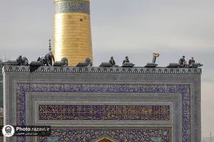 سیاه&zwnj;پوشی حرم مطهر رضوی به مناسبت ایام فاطمیه