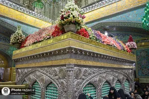 گل آرایی ضریح مطهر رضوی در دهه کرامت