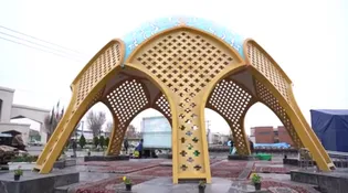نماد ایثار و مقاومت در زائر شهر رضوی