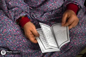 قرائت دعای عرفه ویژه زائران غیر ایرانی در حرم مطهر رضوی