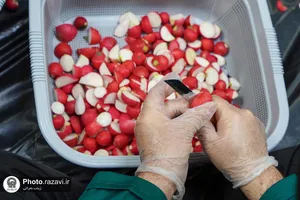 بسته بندی و توزیع افطار سبک در چایخانه حضرت رضا علیه&zwnj;السلام
