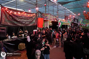 موکب &laquo;دارالکرامه&raquo; امام رضا علیه&zwnj;السلام در ره باغ رضوان