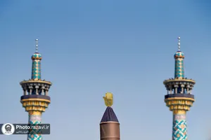 نمایشگاه عکس آرام جان