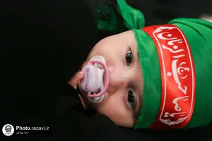 آیین معنوی &laquo;شیرخوارگان حسینی&raquo; در حرم مطهر رضوی