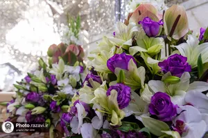 گل&zwnj;آرایی ضریح مطهر رضوی در آستانه ولادت امام رضا علیه&zwnj;السلام
