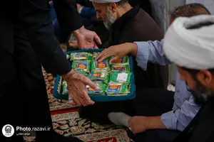 تشرف اعضای هیأت علمی دانشگاه&zwnj;های مشهد به حرم مطهر رضوی