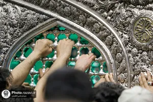 حال و هوای حرم مطهر رضوی در ایام میلاد امام حسن مجتبی علیه&zwnj;السلام