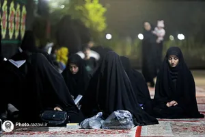 اسکان زائرین حضرت رضا علیه&zwnj;السلام در طرح دارالکرامه - باغ خاتون