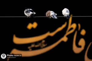 سیاه پوشی حرم مطهر رضوی در ایام فاطمیه