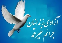 آزادی ۲۰ زندانی جرائم غیرعمد در استان تهران