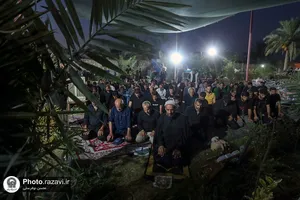 زائران پیاده اربعین حسینی