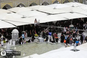 سایه بر سر زائران امام مهربانی