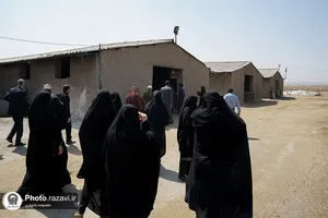 بازدید کارکنان آستان قدس رضوی از مزرعه نمونه