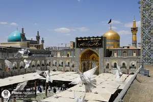 کتیبه آرایی اماکن متبرکه رضوی در دهه پایانی ماه صفر