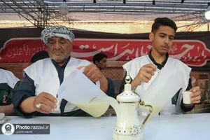 موکب جوانان رضوی