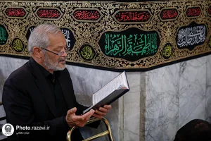 تشرف اعضای هیأت علمی دانشگاه&zwnj;های مشهد به حرم مطهر رضوی