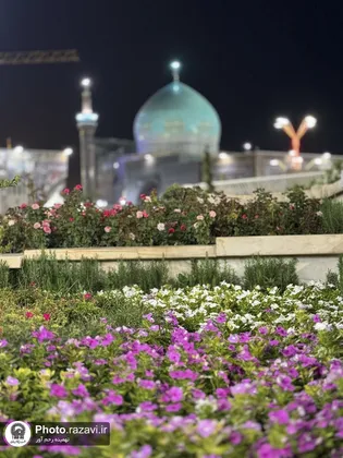 حال و هوای حرم مطهر رضوی در ایام شهادت امام رضا علیه السلام-6