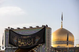 سیاه پوشی حرم مطهر رضوی در آستانه شهادت موسی بن جعفر علیه&zwnj;السلام