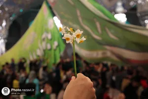 حال و هوای حرم مطهر رضوی در شب میلاد جوادالائمه علیه&zwnj;السلام