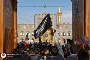 همایش &laquo;نوگلان فاطمی&raquo; در حرم مطهر رضوی

